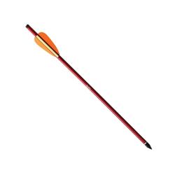 5 Flèches pour arbalète Jaguar résistantes alu 16" 150 livres