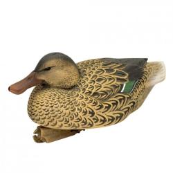 Appelant canard, appelant oie, blettes et formes ...