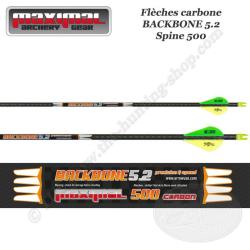 12 x flèches en carbone 40T SP350-1000 flèches de chasse 3,2 mm tir à l