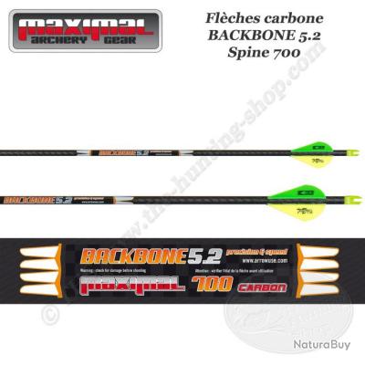12 Flèches Carbone AMEYXGS SP500 30″ – Plumes Naturelles – Pour Arc Recourbé/long