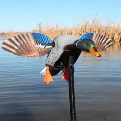 Canard à ailes tournantes Mini Mallard Elite Series Mojo