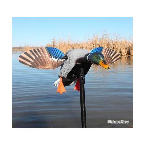 Canard  ailes tournantes Mini Mallard Elite Series Mojo