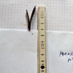 Ressort de pistolet &agrave; Percussion -Silex-Goutte d'eau n&deg;10