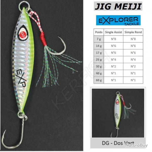 JIG MEIJI EXPLORER TACKLE 60 g Dos Vert