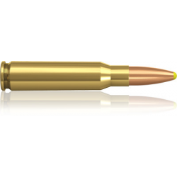 Norma 308 Winchester Plastic Point 180 gr