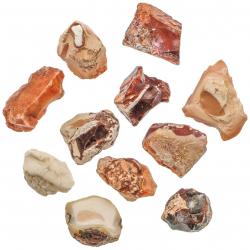 Pierres brutes opale de feu - 2 à 3 cm - Lot de 2