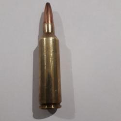 1 munition 270wsm  PowerPoint 9,7gr