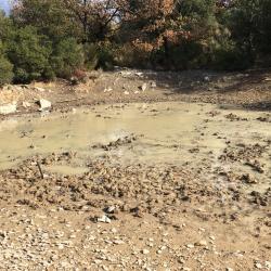 GROS ET PETITS GIBIERS  DANS LE VAR