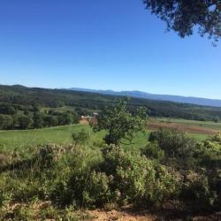 GROS ET PETITS GIBIERS  DANS LE VAR