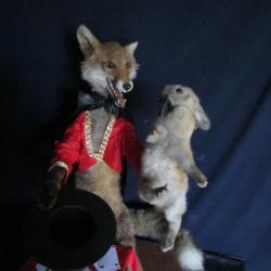 reserver taxidermie anthropomorphique renard lapin taxidermy fox circus rabbit curiosité odditties
