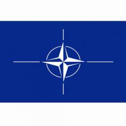 Drapeau OTAN (101 Inc)