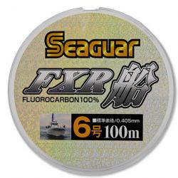 Seaguar Fluorocarbon FXR 100m #6