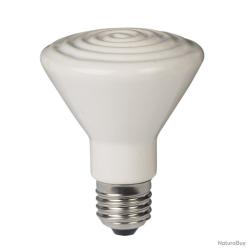 Ampoule Céramique 100W