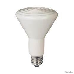 Ampoule Céramique 250W
