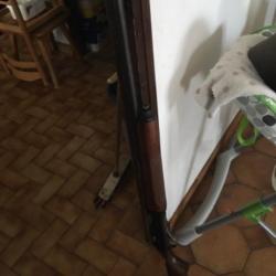 Fusil semi automatique