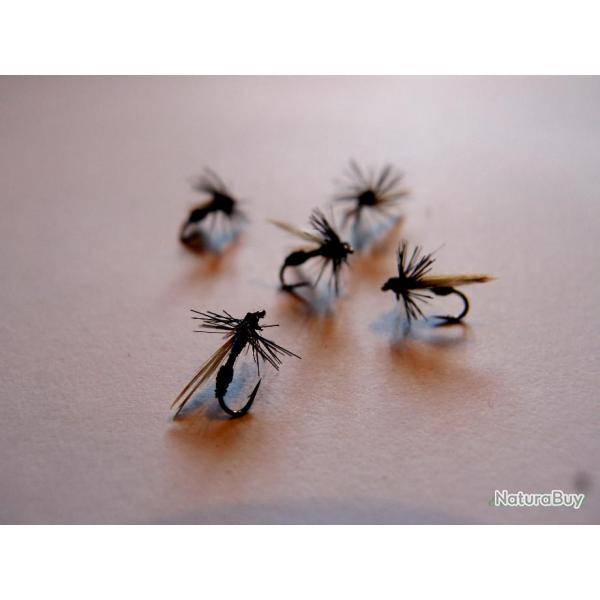 Lot de 5 fourmis - mouches sches