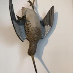 Bécassine