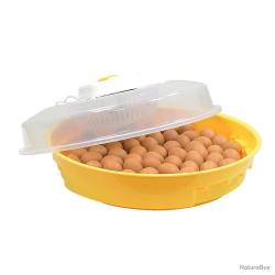 Couveuse 70 oeufs de poules et reptiles( Puisor IO-202)
