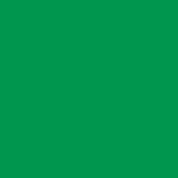 Peinture pour ruche coloris vert (Taille 3)