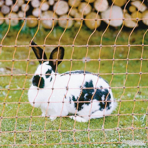 Filet lapin electrifible
