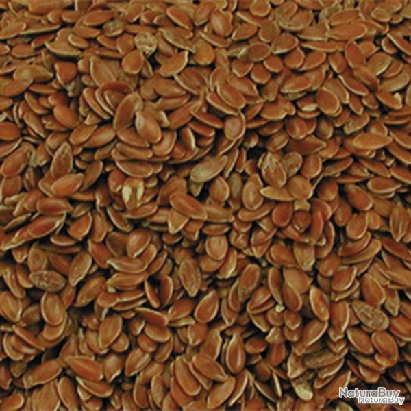 Graines de lin 4 kg