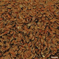 Graines de lin 20kg
