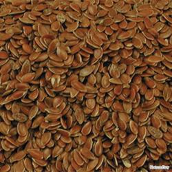 Graines de lin 20kg