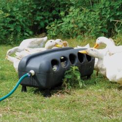 Abreuvoir automatique canards et oies 75 X 25 X 27 cm