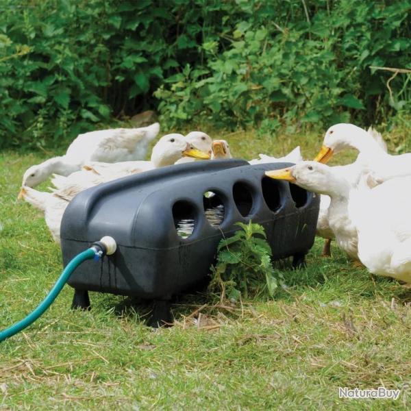 Abreuvoir automatique canards et oies 75 X 25 X 27 cm