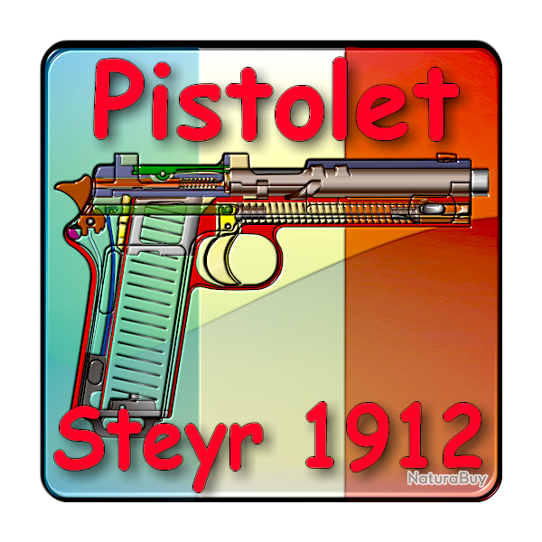 Le Pistolet Steyr 1912 Expliqu - ebook