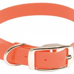 ( Collier Hiflex - Longueur 35 cm)Collier pour chien Hiflex orange fluo - Country