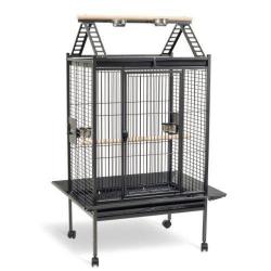 Cage Perroquet Oeuf Cage Gris Du Gabon Cage Amazone Cage