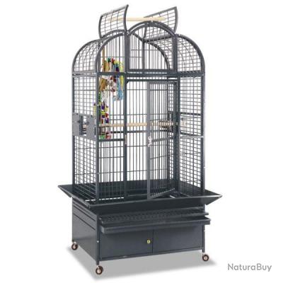 Cage Perroquet Malaga Xxl Cage Gris Gabon Cage Amazone Cage Youyou Gris Du Gabon Cage Ara Cacatoes