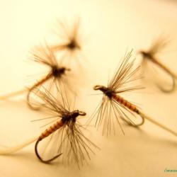 Lot de 5 araignées grises à corps jaune - mouches sèches