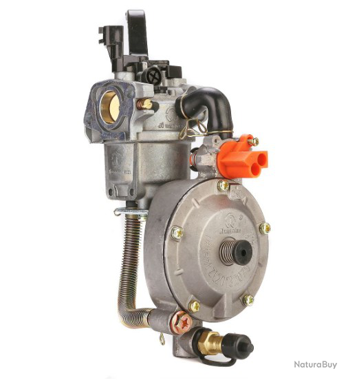 Carburateur à gaz pour groupe électrogène GX200 170F Neuf