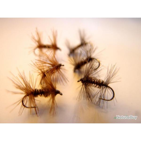 Lot de 6 doubles collerettes - mouches sches