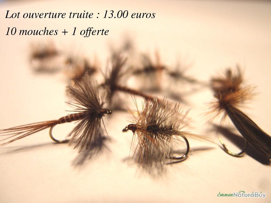 mouches seches pour truite