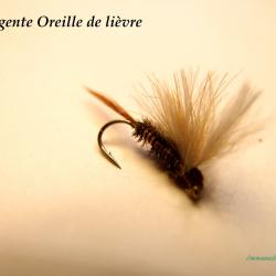 Emergente oreille de lièvre - mouche sèche