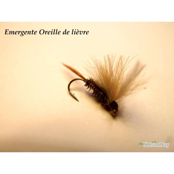 Emergente oreille de livre - mouche sche