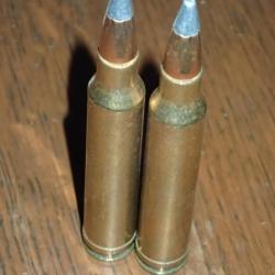 Lot de 2 balles en 300 Win Mag - Winchester