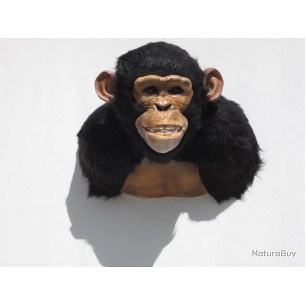 Trophe taxidermie rplique faux chimpanz