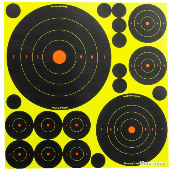 Cibles Shoot NC Birchwood Casey Mix 50