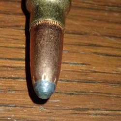 1 Balle en 300 Savage - Ogive Nosler - Winchester