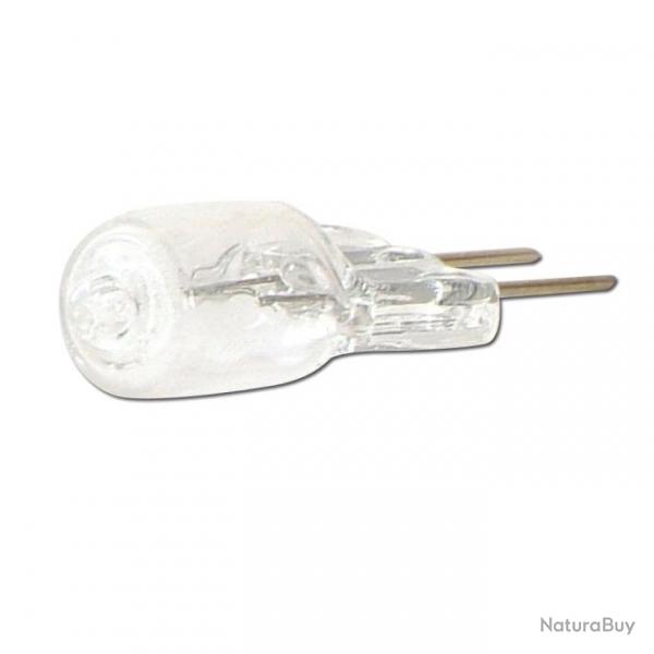 Ampoule pour lampe EXPLORER