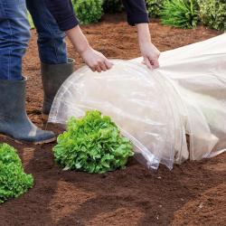 Tunnels de forçage accordéon toutes saisons 4 m 6 arceaux Lot de 3