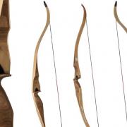 arc chasse MEZZO Recurve chasse Monobloc Oak Ridge