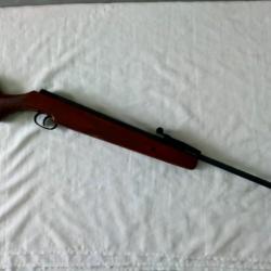 carabine remington  express