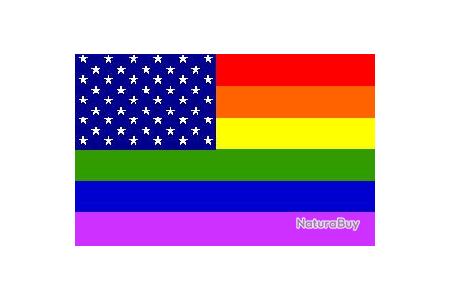 Drapeau américain LGBT