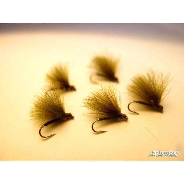 Lot de 5 CDC olive - mouches sches