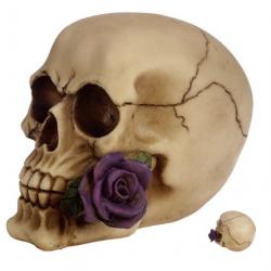 Crâne tête de mort avec  Rose Violette